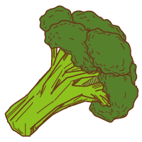 ブロッコリーのイラスト 野菜のイラスト 無料イラスト素材 無料イラスト素材 イラストほし