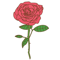 バラのイラスト 花 植物のイラスト 無料イラスト素材 無料イラスト素材 イラストほし